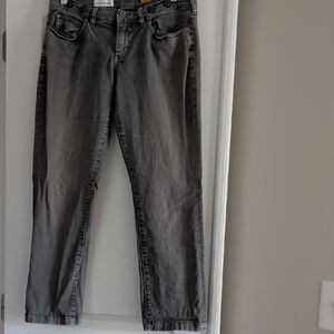 Pilcro and the Letterpress Gray Pants